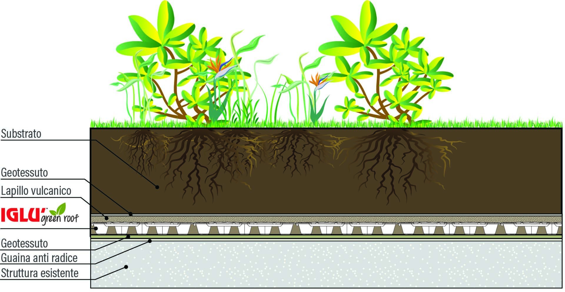 Daliform stratigrafia Iglù Green Roof intensivo