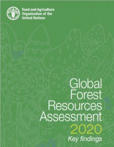 Global Forest Resources Assessment 2020 – Key findings (Fra 2020), Food and Agriculture Organization of the United Nations