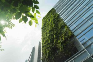 La modernità dell'edificio si sposa con il benessere di un giardino verticale