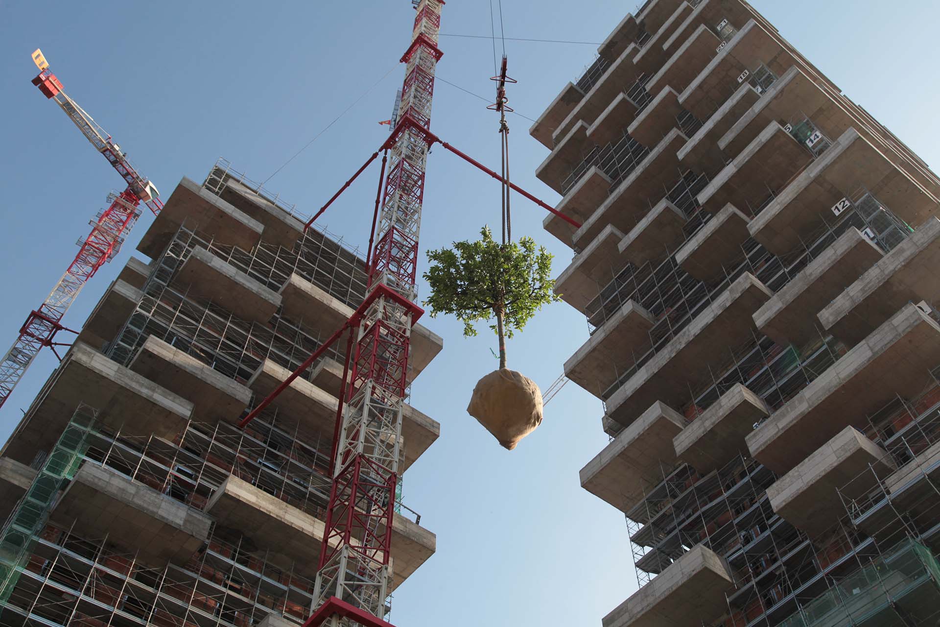 Coima anno 2012 il Primo albero del Bosco Verticale