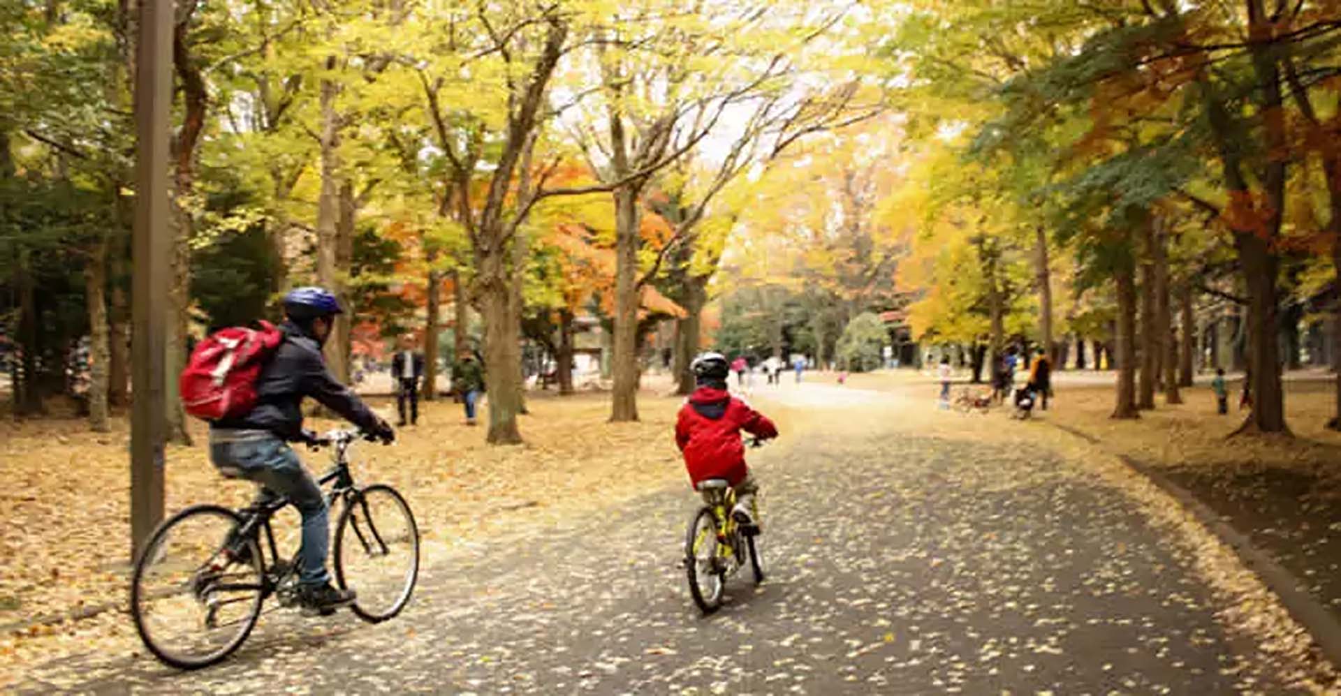 Legambiente ecosistema Urbano vivibilità