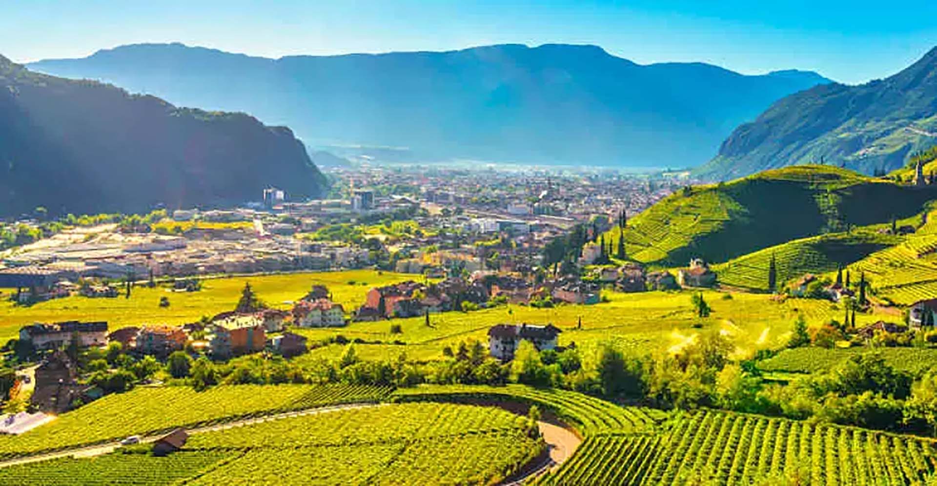 Legambiente ecosistema urbano il verde che circond Bolzano