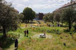 Bioswales con il sole | ©SLA Architects