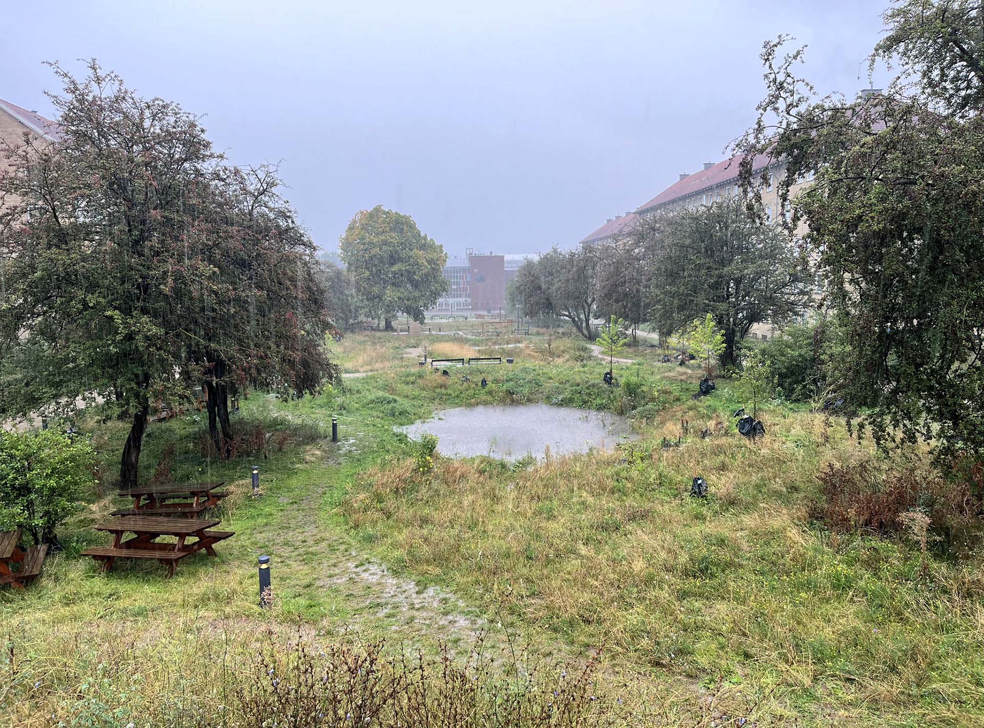 Bioswales con la pioggia | SLA Architects | ©Marie Damsgaard