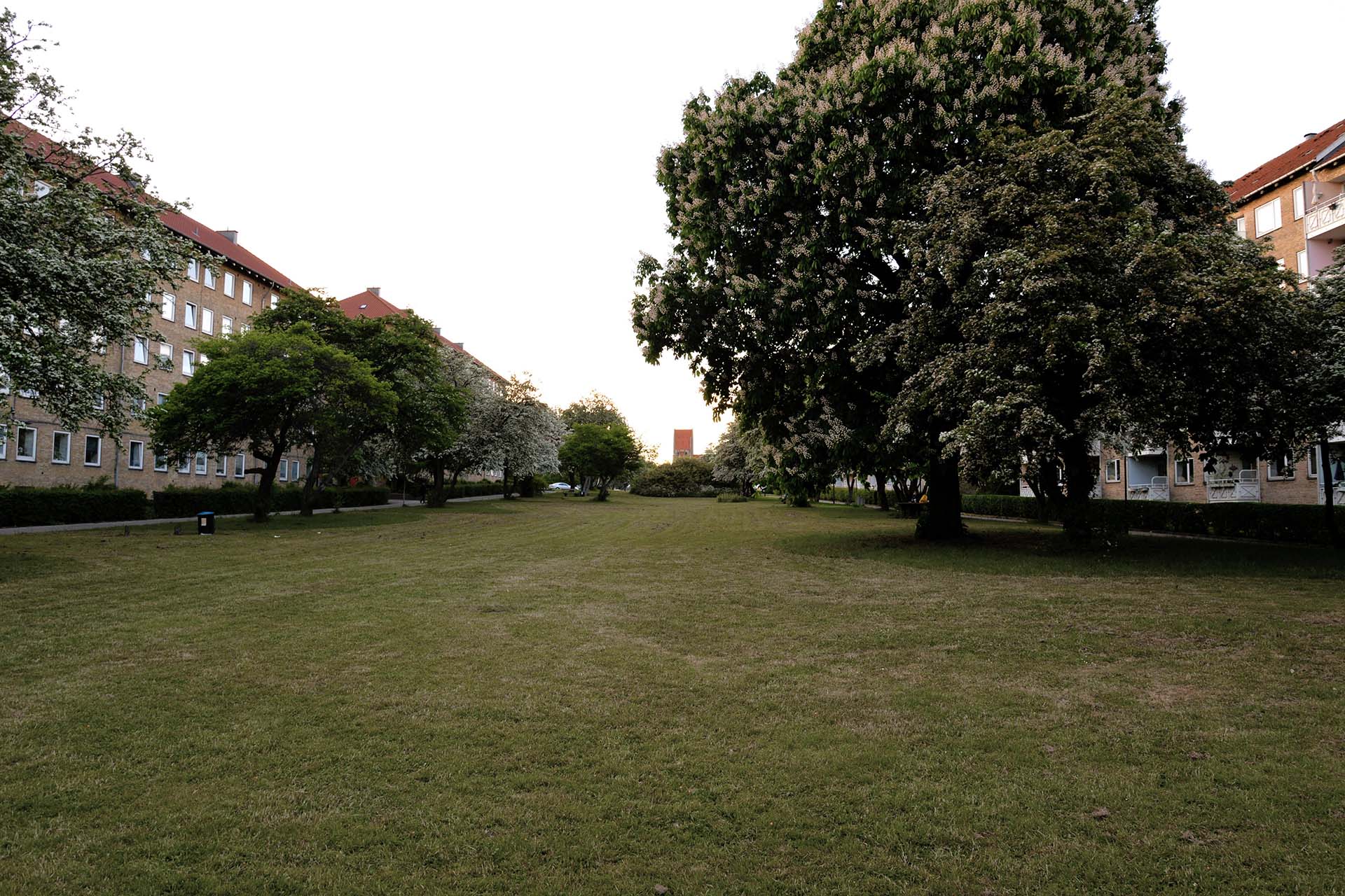 Prima dell’intervento, prato vuoto e alberi | SLA Architects